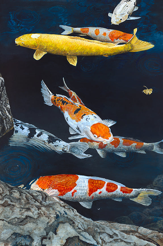 "Koi I" 36% Size/ Image Size 11.5 x 17.25 inches/ Reproduction on paper