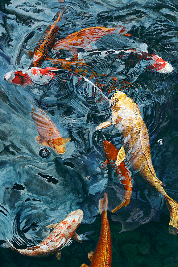 "Koi II" 56% Size/ Image Size 13.3 x 20 inches/ Reproduction on paper